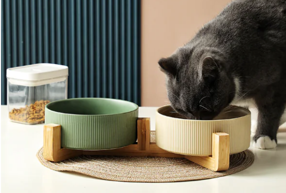 EcoNest Neutral Pet Bowls, Single&Double options